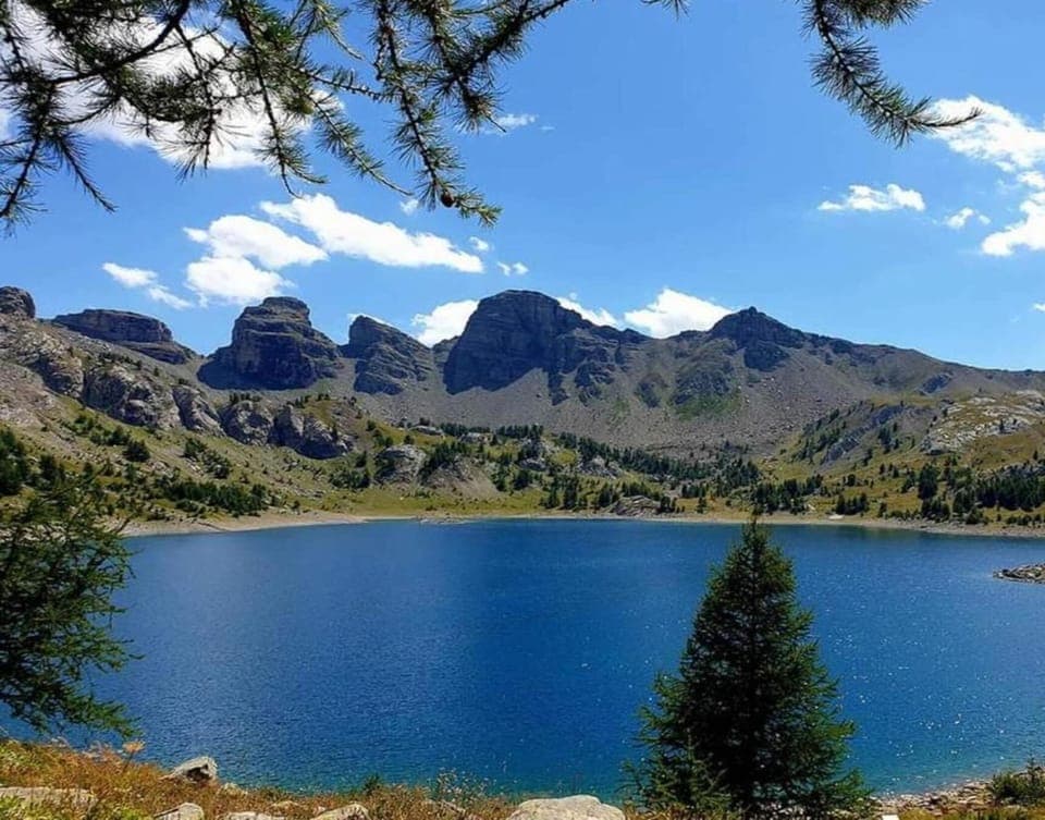 Region [summer] (>5 km)