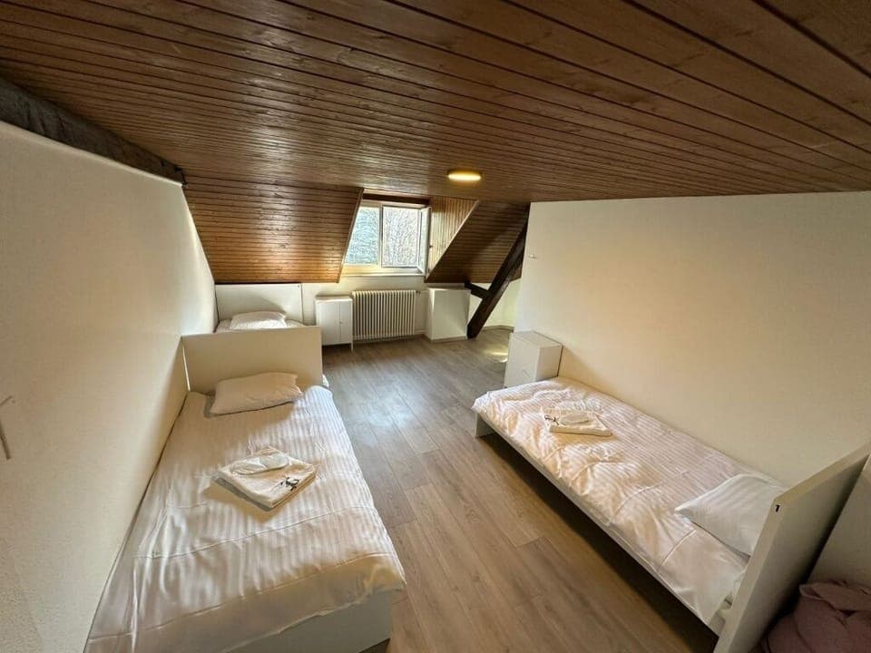 Economy Shared Dormitory | Soundproofing, iron/ironing board