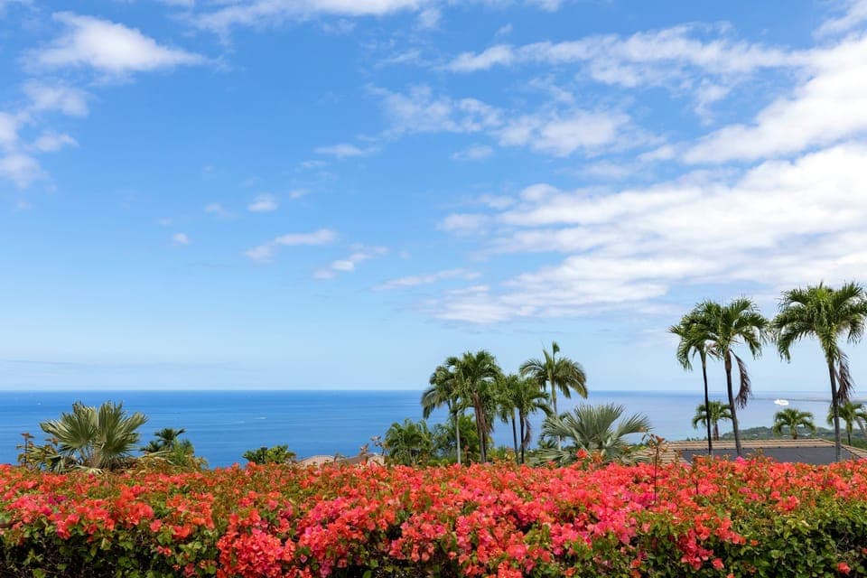 Enjoy serenity and ocean views from the backyard