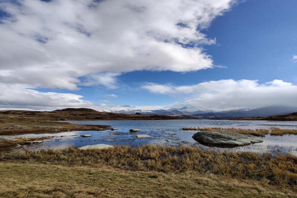 Region [summer] (>5 km)