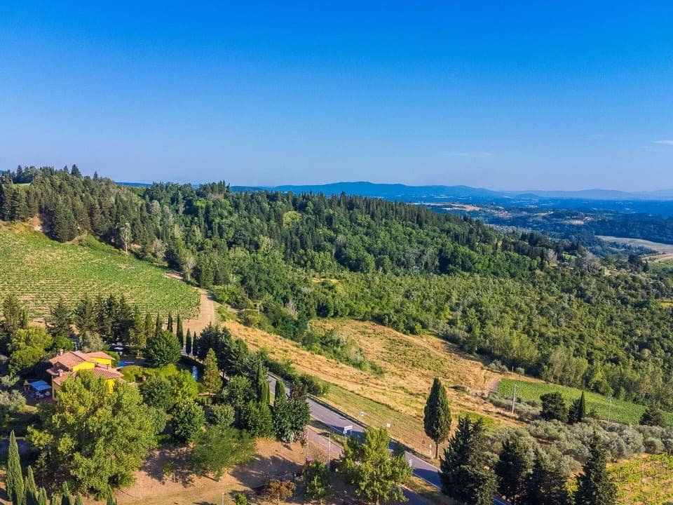 Blue, Nature, Leaf, Natural Environment, Vegetation, Natural Landscape, Landscape, Horizon, Ecoregion, Hill