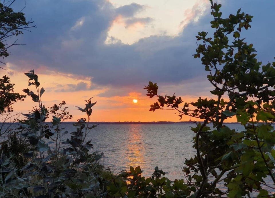 Apartment | View from property