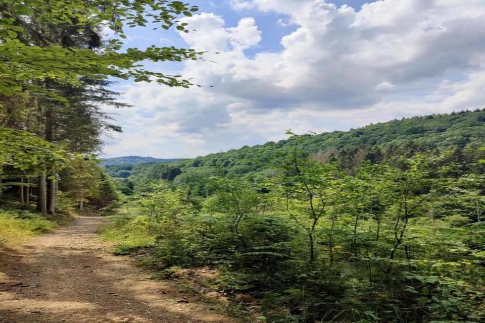 Surroundings [summer] (1-5 km)