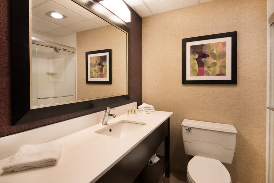 Combined shower/tub, free toiletries, hair dryer, towels