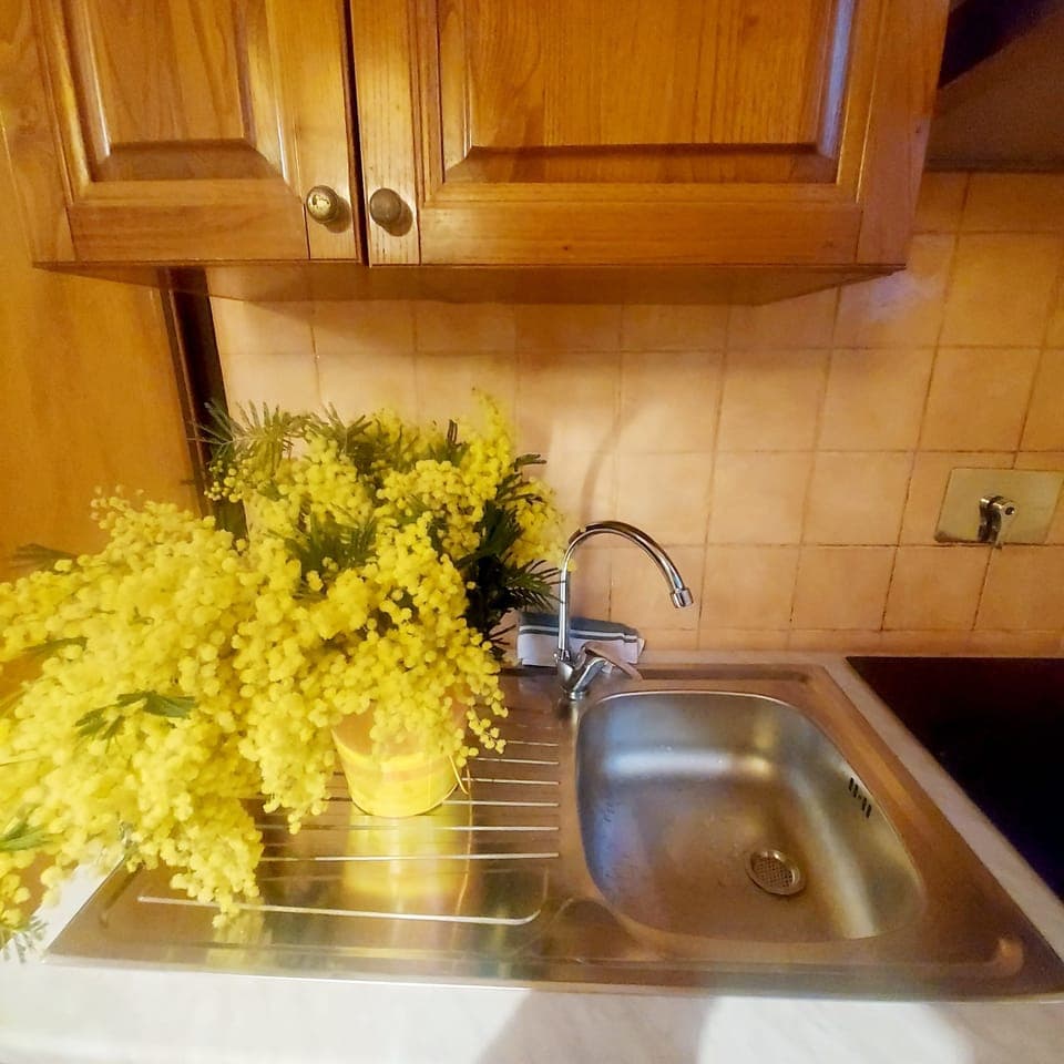 Apartment, 1 Bedroom, City View | Miscellaneous