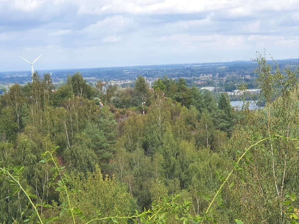 Region [summer] (>5 km)