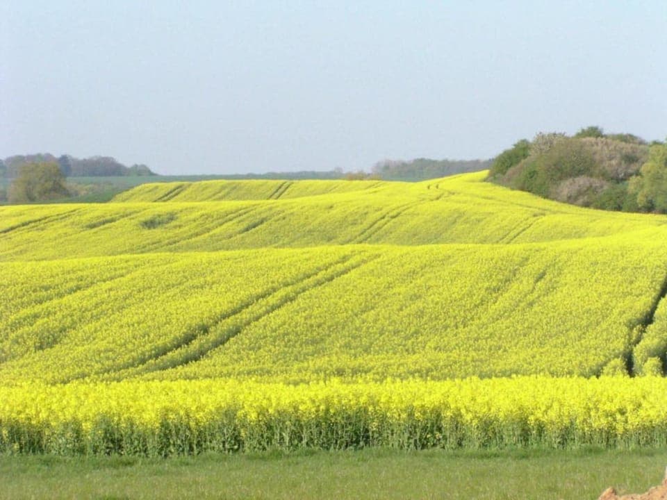 Region [summer] (>5 km)