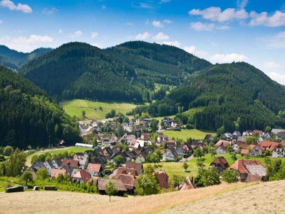 Region [summer] (>5 km)