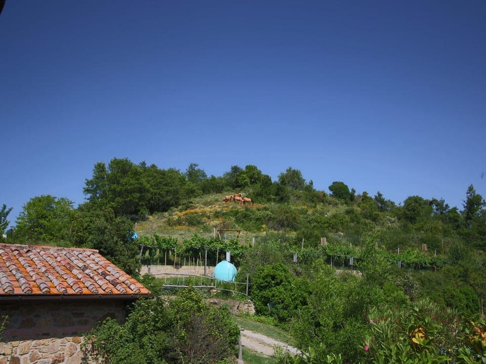 View from Holiday Home [summer]