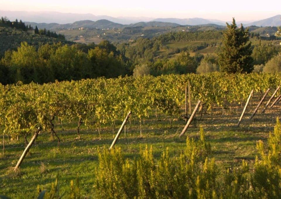 Surroundings [summer] (1-5 km)