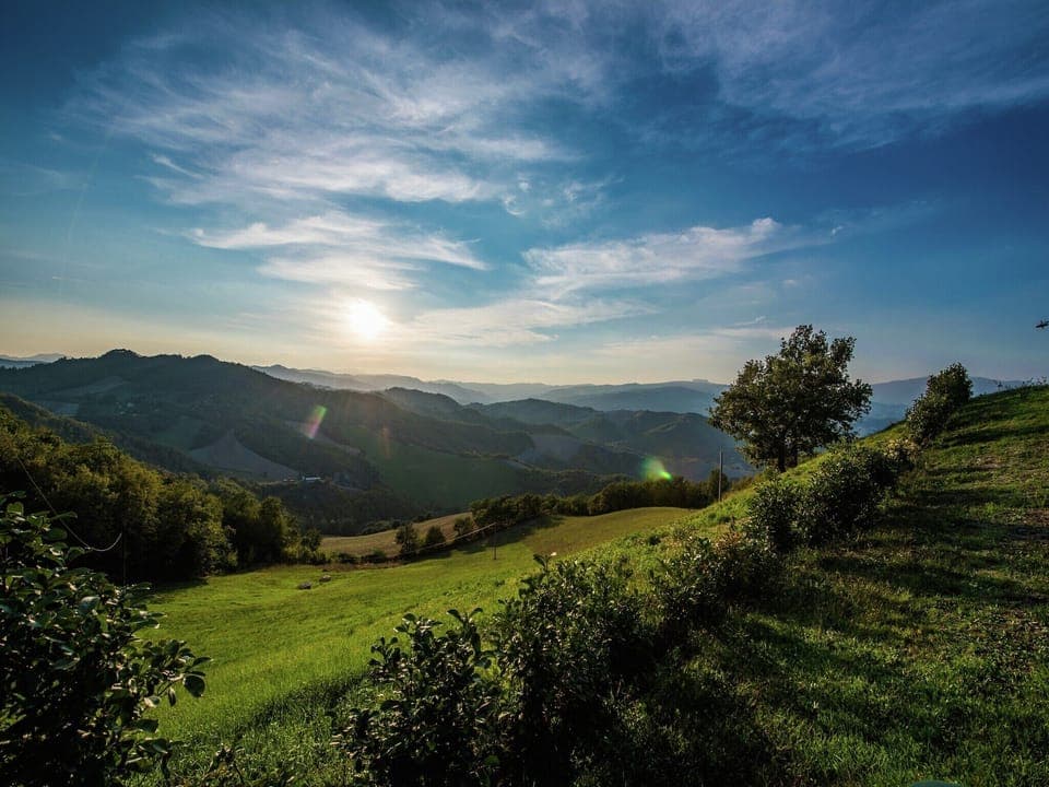 Region [summer] (>5 km)