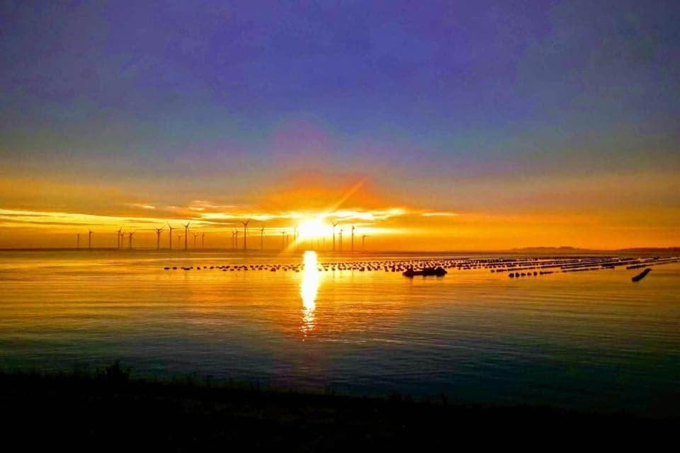 Region [summer] (>5 km)