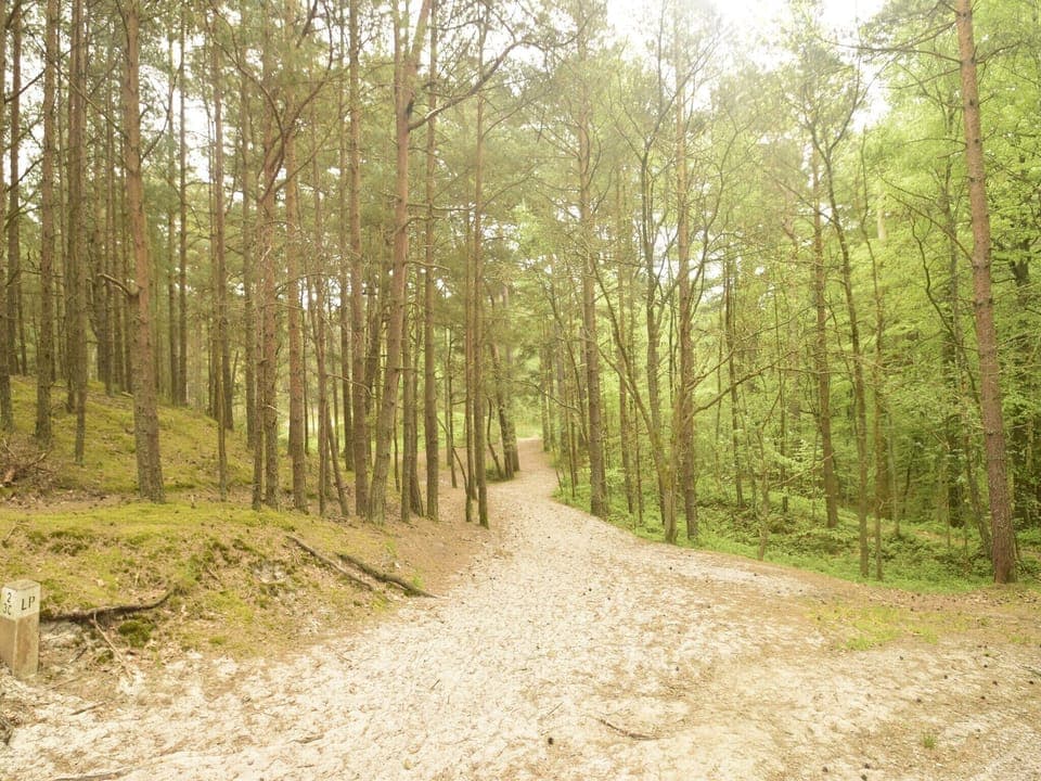 Immediate Surroundings [summer] (<1 km)