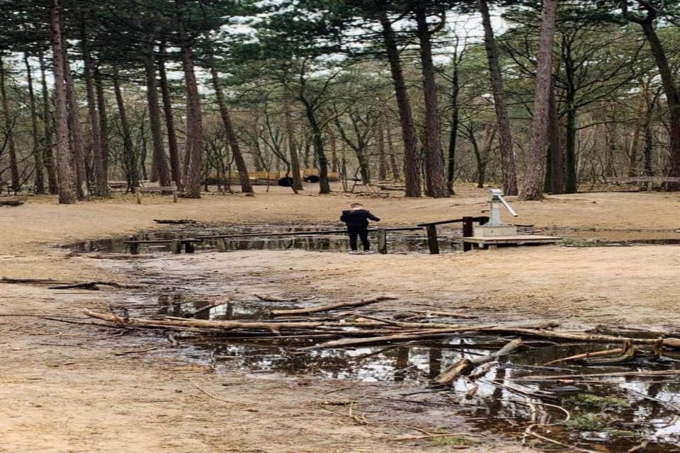 Surroundings [summer] (1-5 km)