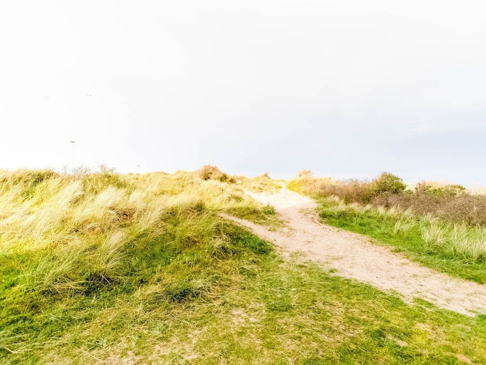 Surroundings [summer] (1-5 km)