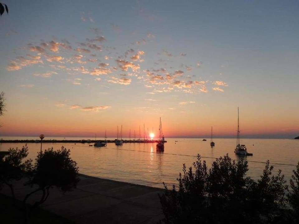 Region [summer] (>5 km)