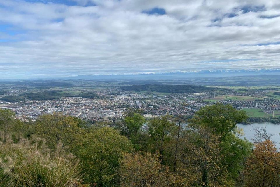 Region [summer] (>5 km)