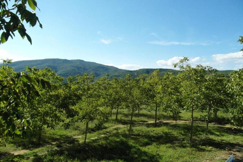 Surroundings [summer] (1-5 km)