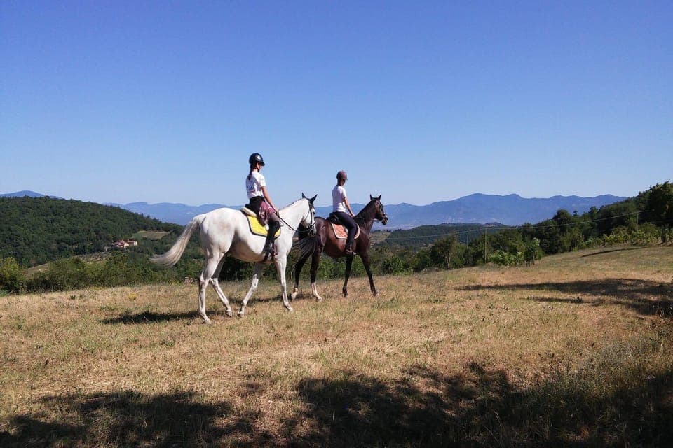 Holiday Park Facilities and Services 