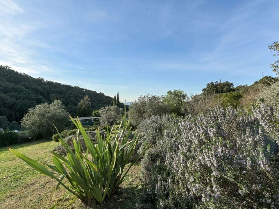 Vegetation, Shrub, Plant Community, Garden, Shrubland, Botanical Garden, Plantation