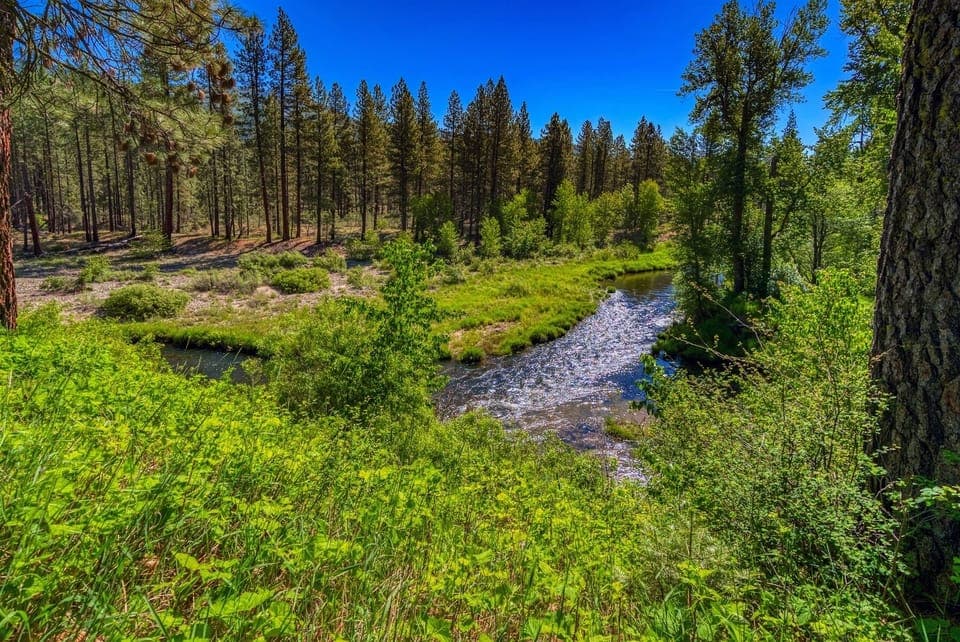 Ahhhhh River view from the small deck