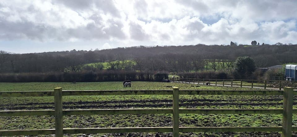 Cottage | Miscellaneous