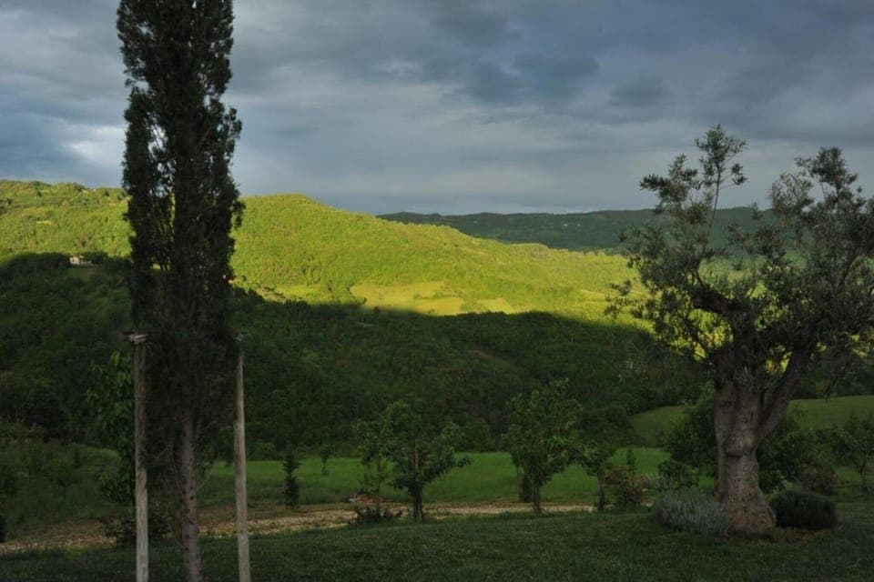 Region [summer] (>5 km)