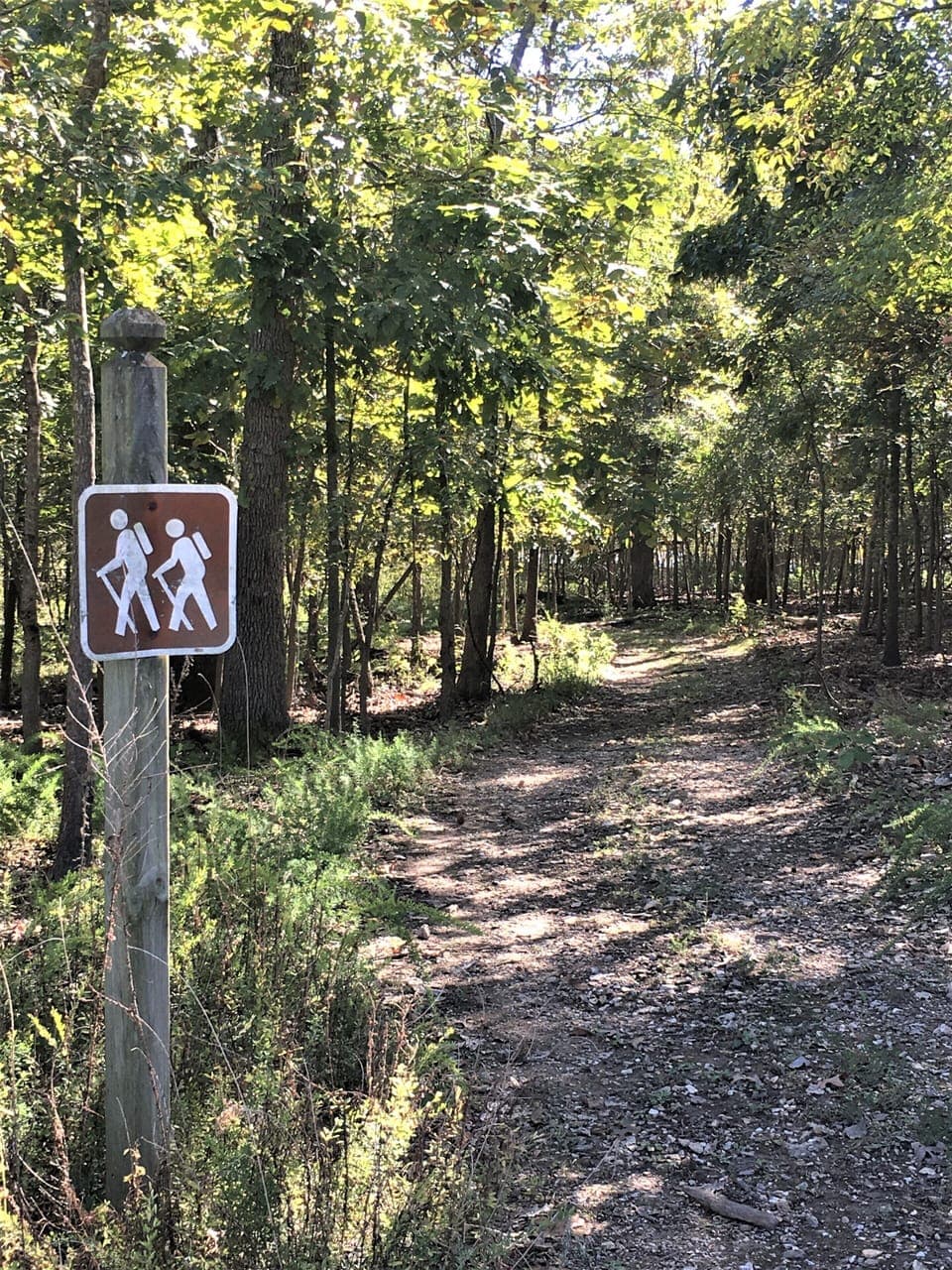 Nearly 1-mile of lakefront at the Resort and 7-miles of walking trails on Indian Point
