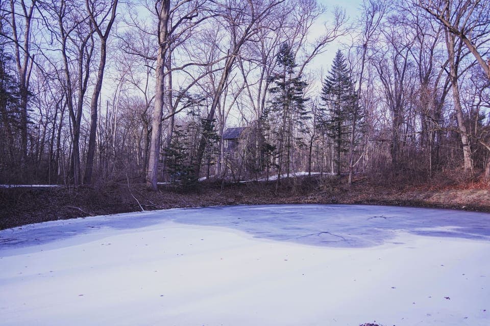 The beautiful and serene nature landscape surrounding you