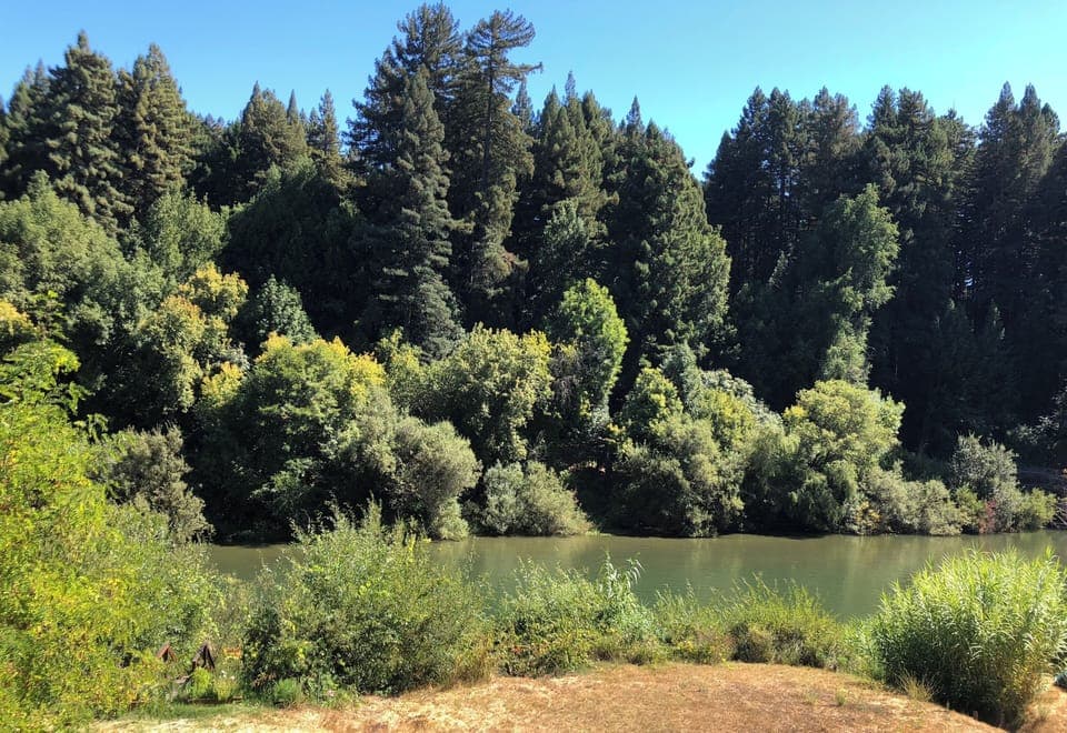 The river doesn't keep track of time... So relax and take a break.