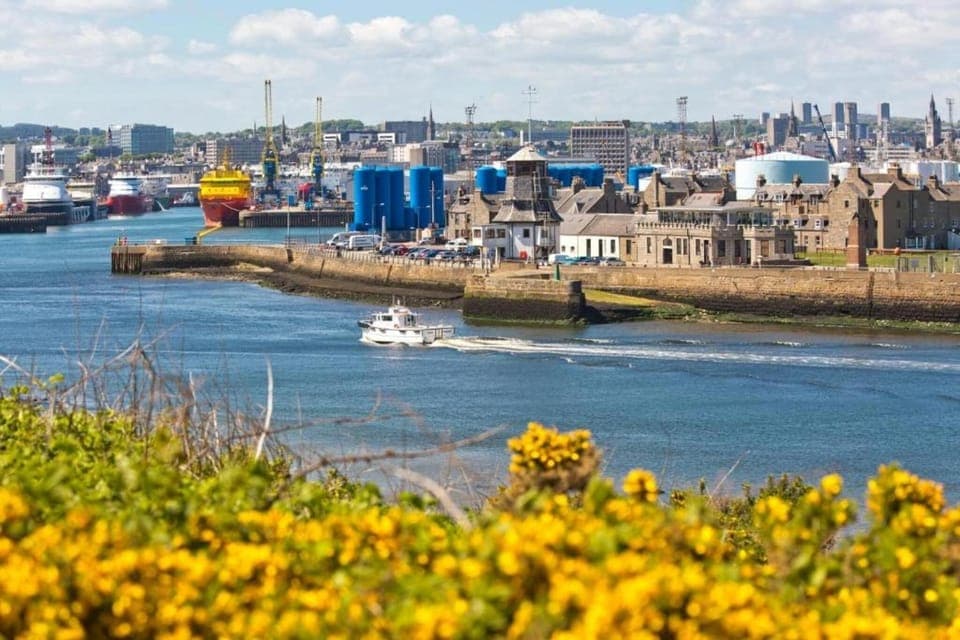 Region [summer] (>5 km)