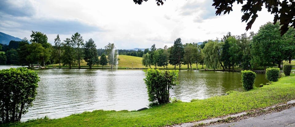 Apartment | View from property