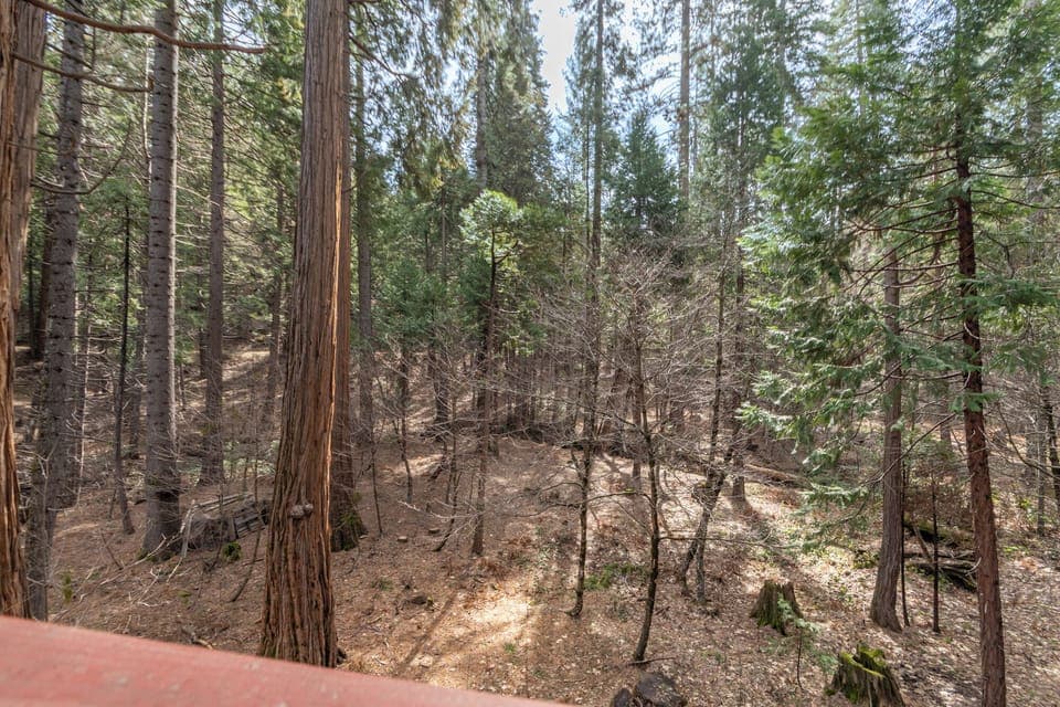 Private Forest Views