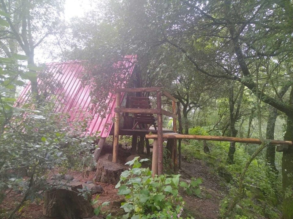 Economy Cabin, Balcony, River View | Free WiFi