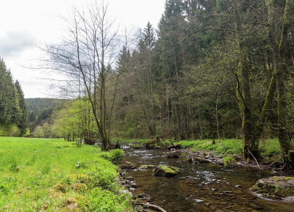 House | View from property