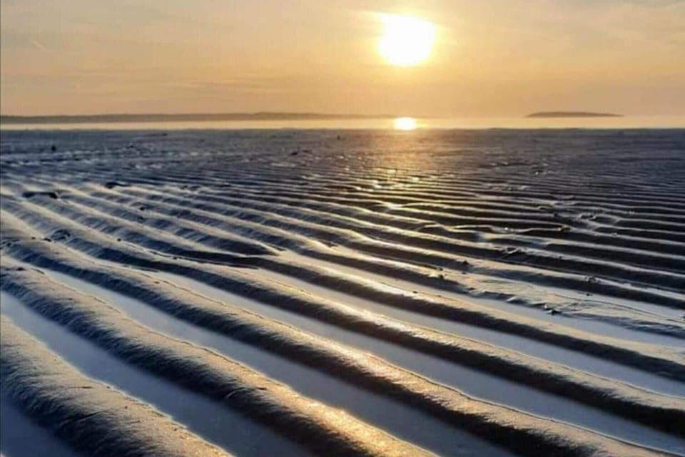 House | Miscellaneous