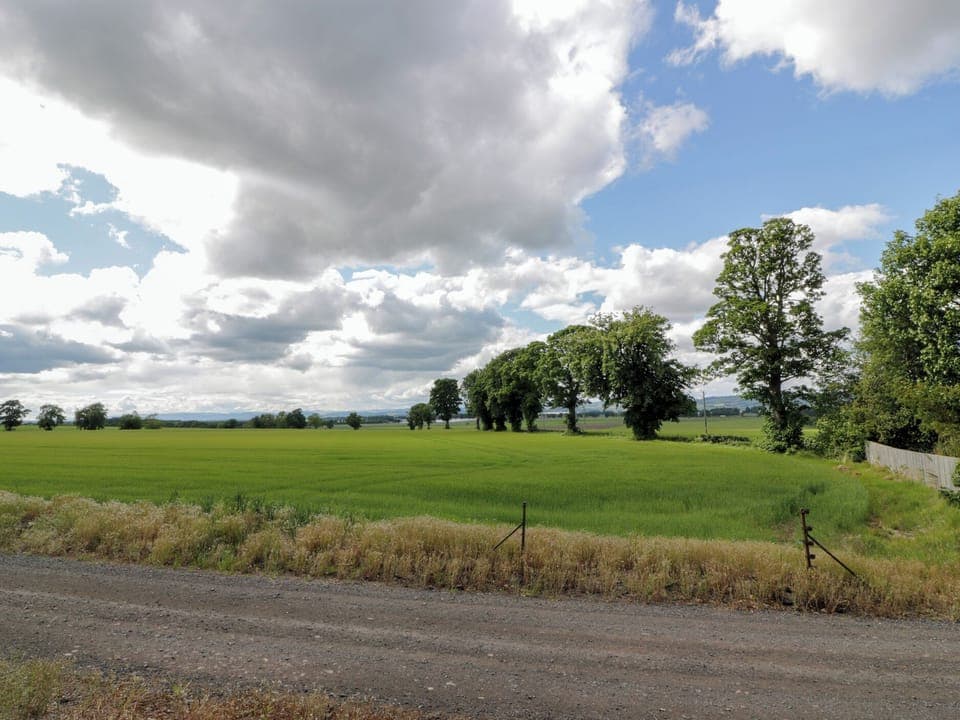 Cottage | Miscellaneous