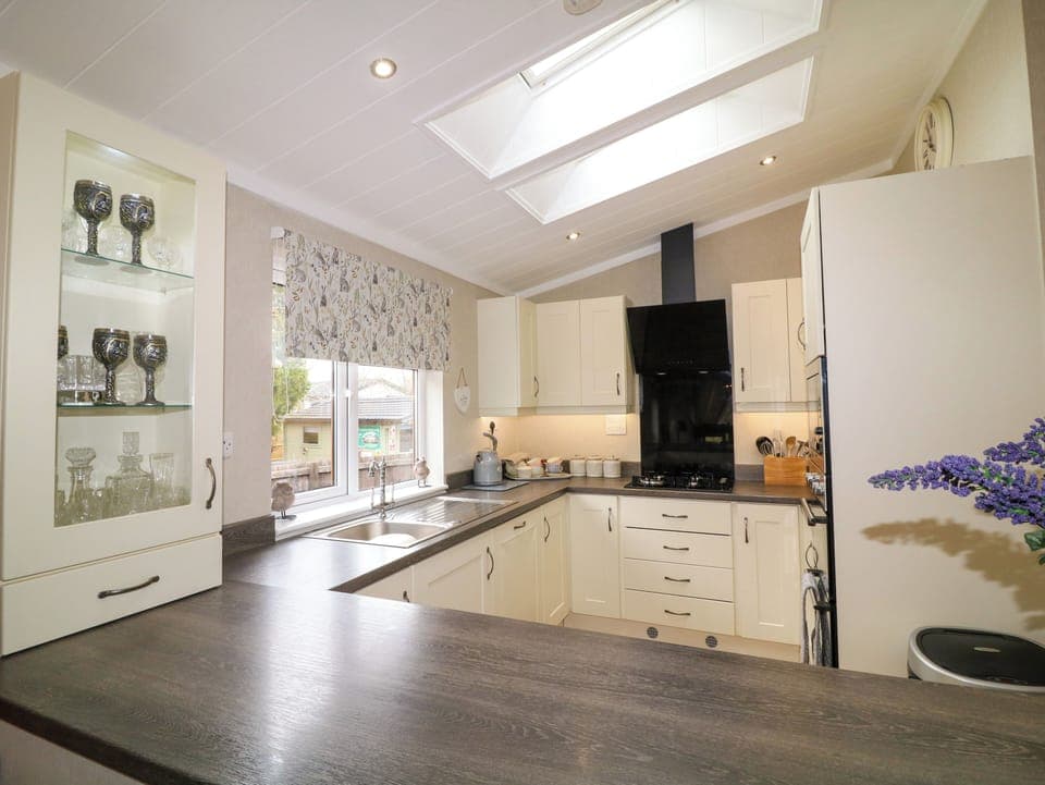 Fridge, dishwasher, cookware/dishes/utensils