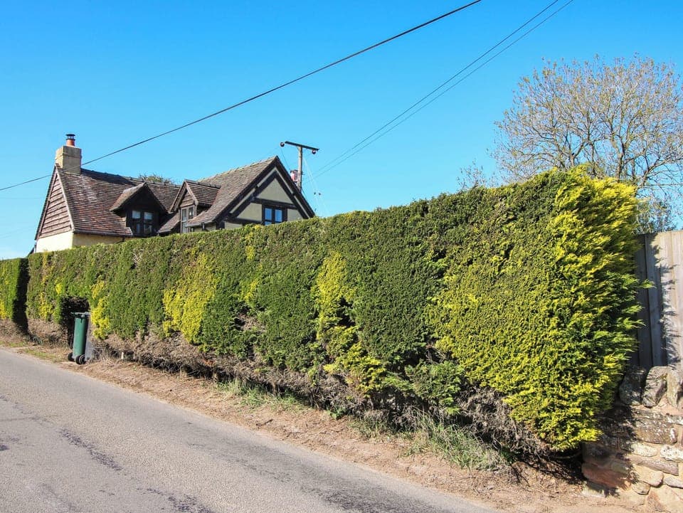 Cottage | Miscellaneous