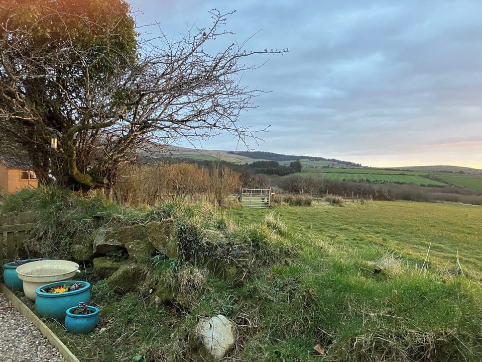 Cottage | Property grounds