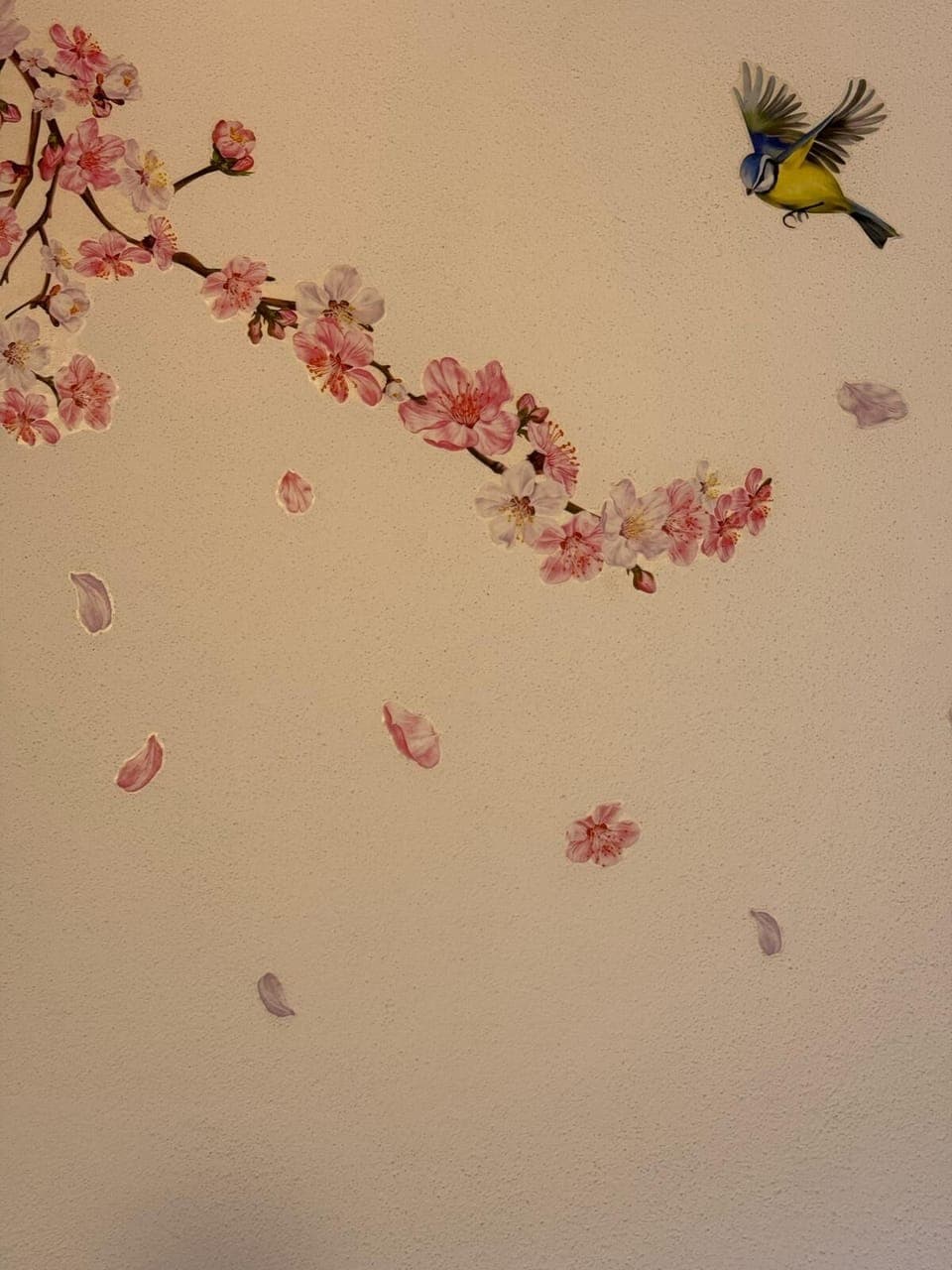 Hypo-allergenic bedding, memory foam beds, desk, laptop workspace