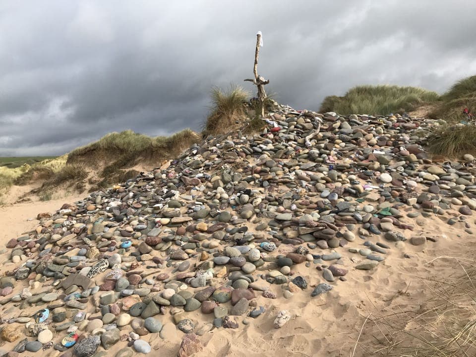 Cottage | Miscellaneous