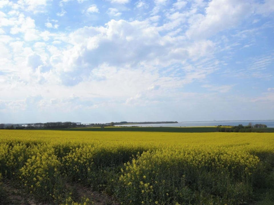Surroundings [summer] (1-5 km)