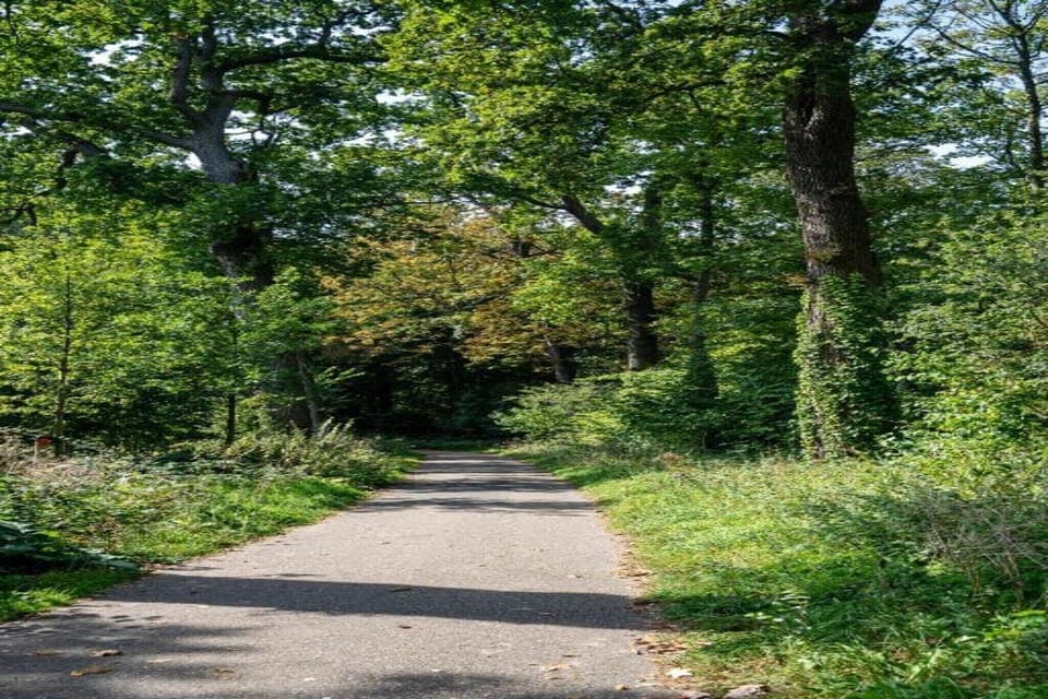 Region [summer] (>5 km)