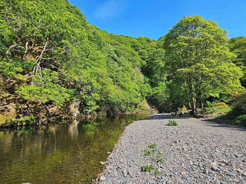 Cottage | Miscellaneous