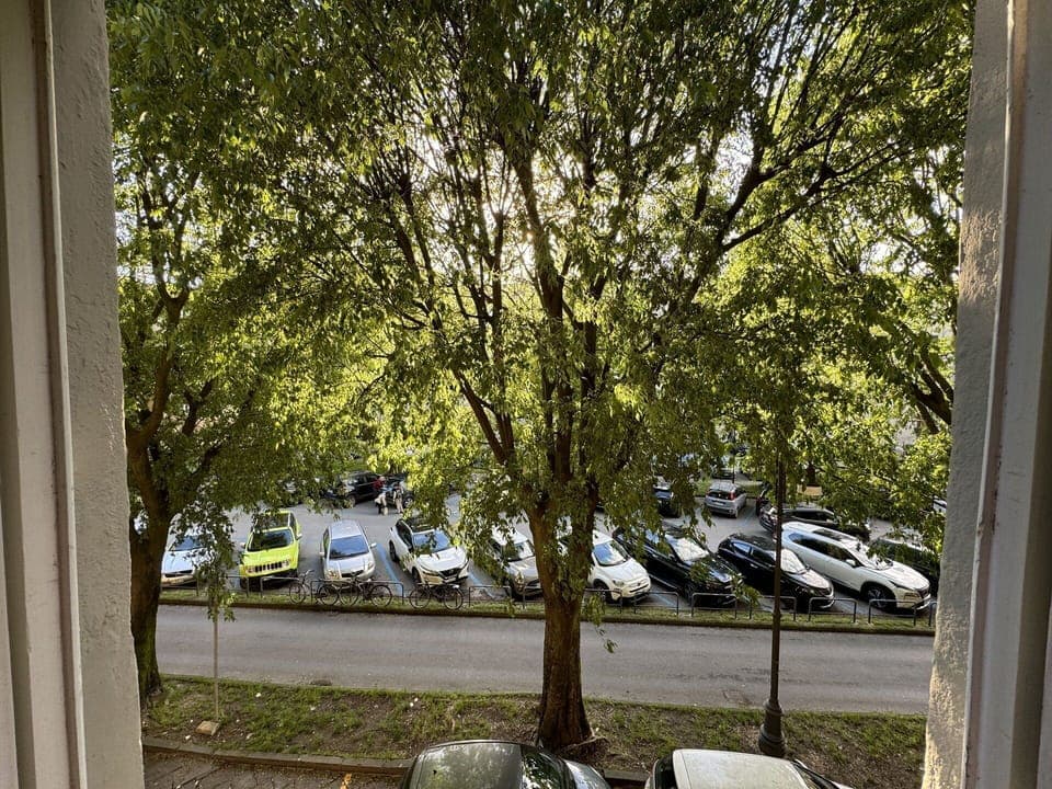 Vehicle, Car, Tree, Motor Vehicle, Wheel, Transport, Automotive Exterior