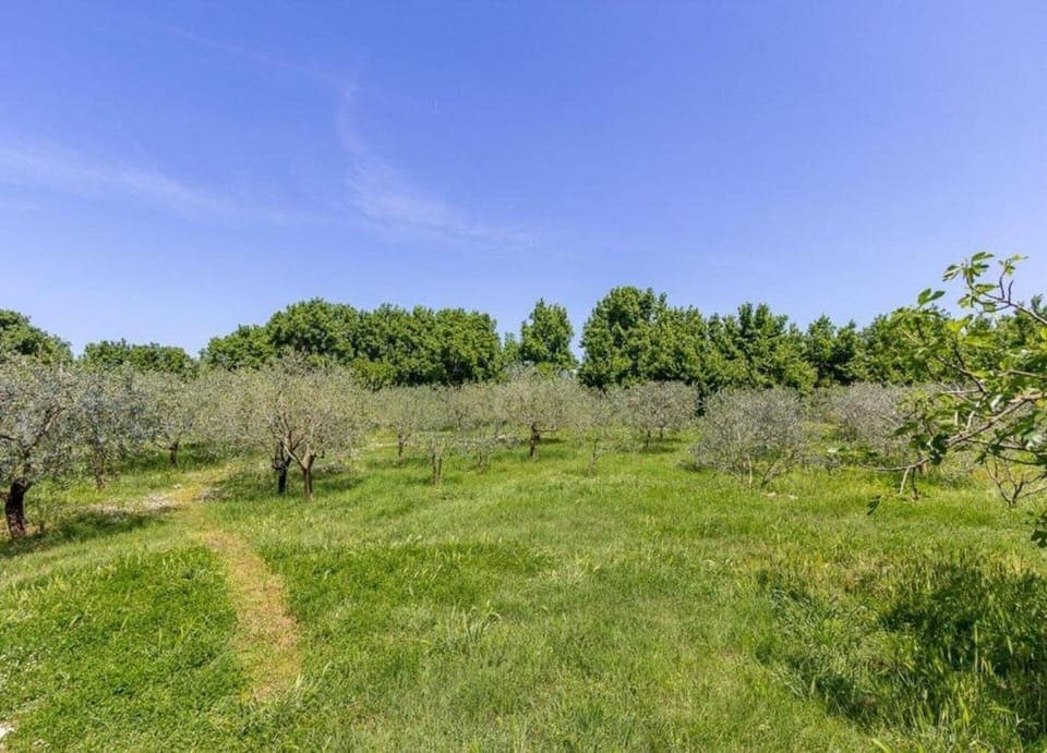 House | View from property