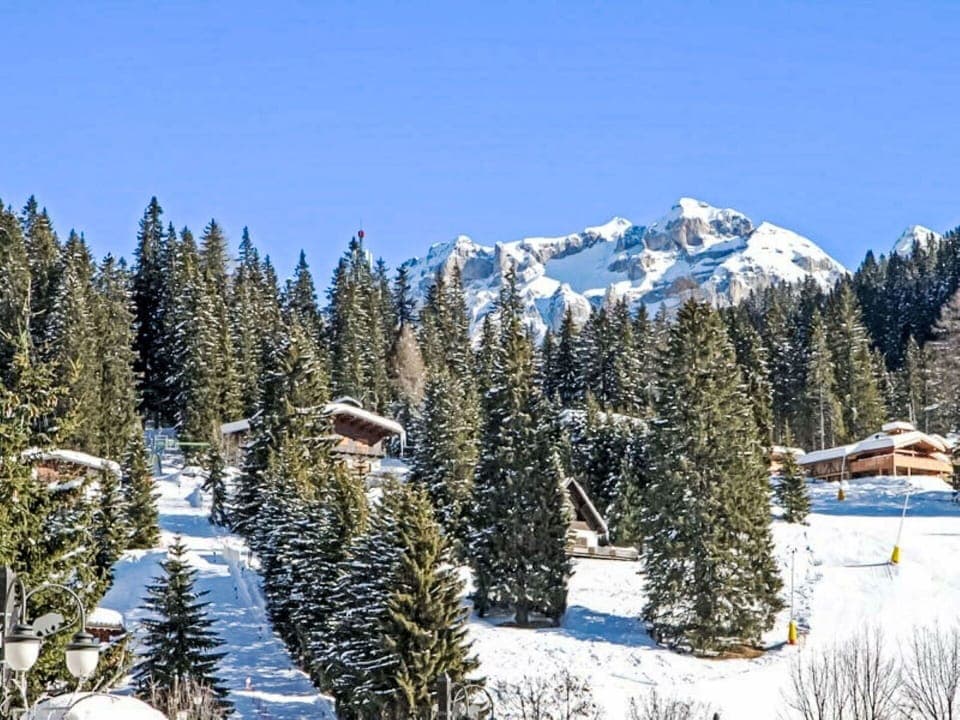 Snow, Tree, Mountainous Landforms, Winter, Mountain, Mountain Range, Glacial Landform, Hill Station, Forest