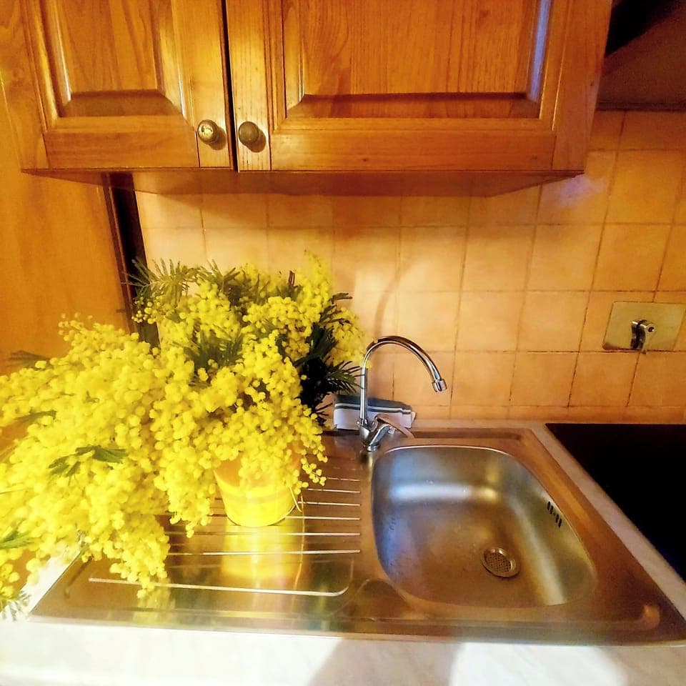 Comfort Condo, Ensuite, Ground Floor | Private kitchen | Fridge, microwave, stovetop, electric kettle