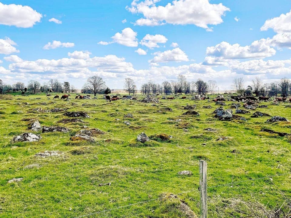 House | Miscellaneous